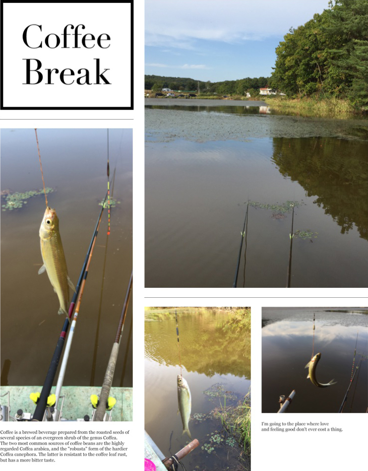 고막저수지 짬낚